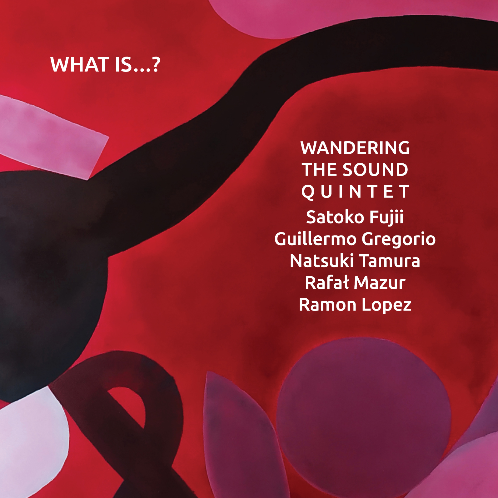 Wandering The Sound Quintet – What Is...? album cover (Not Two Records)