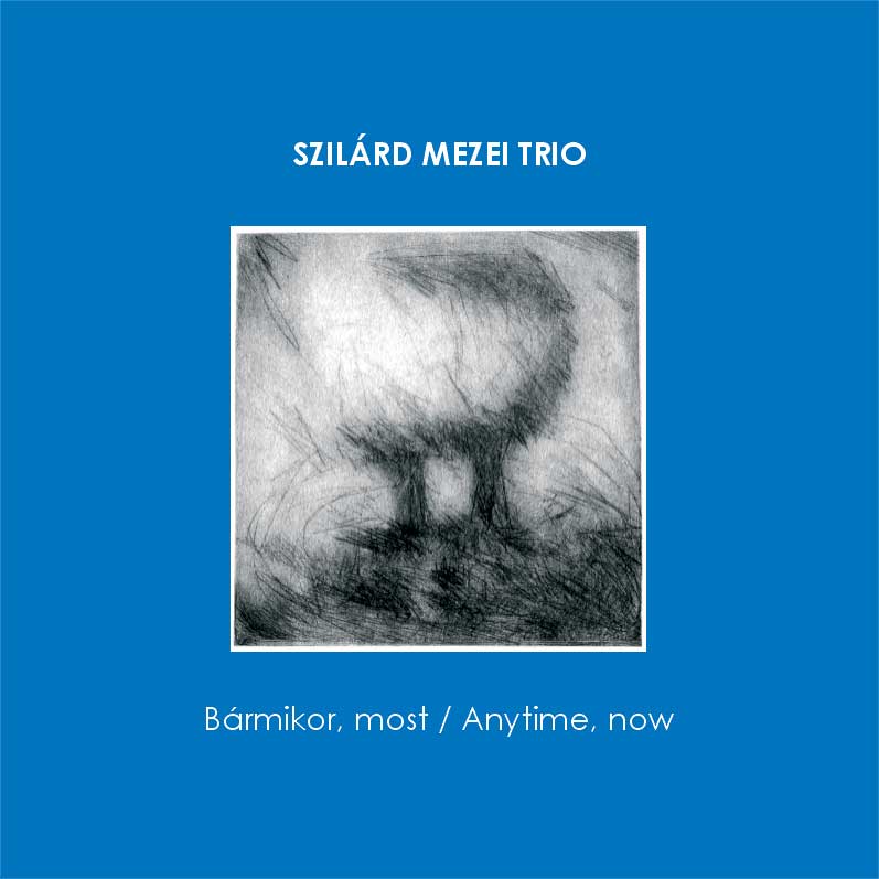 Szilárd Mezei Trio – Barmikor, most (Anytime, now) album cover (Not Two Records)